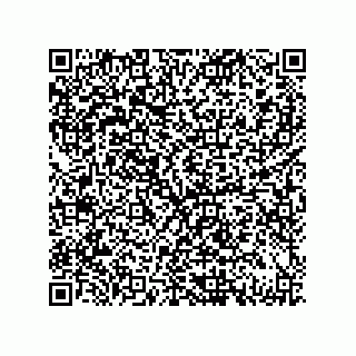 vCard 79833005532