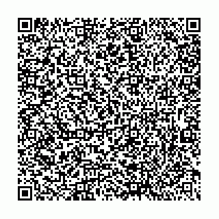vCard 79833005603