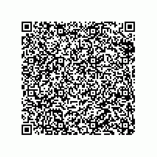 vCard 79833005713