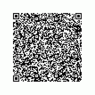 vCard 79833005911