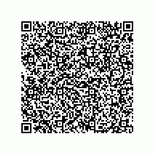 vCard 79833005919