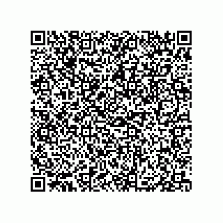 vCard 79833006511
