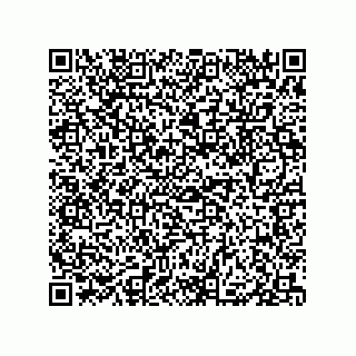 vCard 79833006521