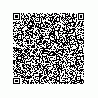 vCard 79833006525