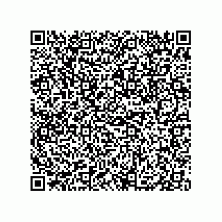 vCard 79833006538
