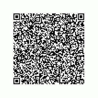 vCard 79833006621