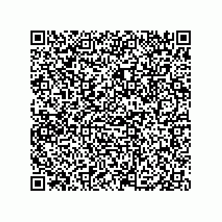 vCard 79833006627
