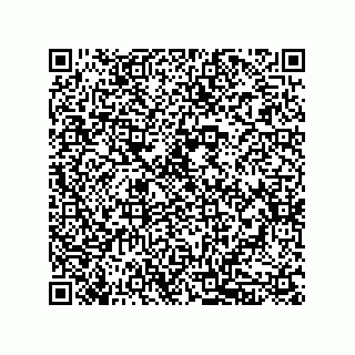 vCard 79833006739