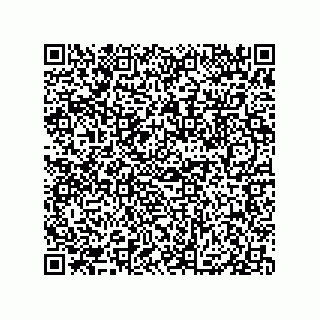 vCard 79833006740