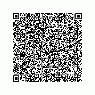 vCard 79833006753