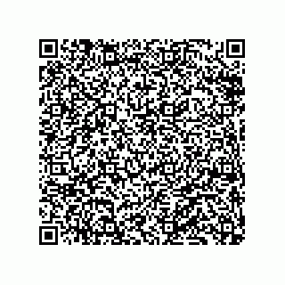 vCard 79833006873