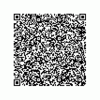 vCard 79833006881