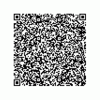 vCard 79833006885