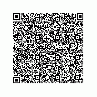 vCard 79833007005