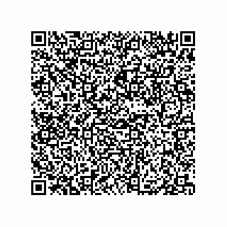 vCard 79833007381