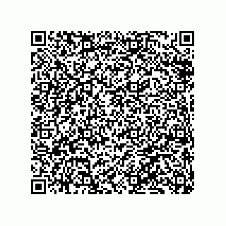 vCard 79833008041