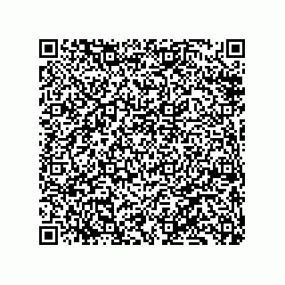 vCard 79833008061