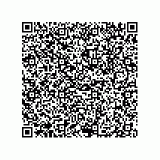 vCard 79833008128