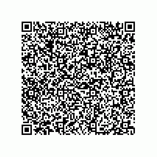 vCard 79833008381