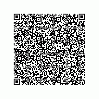 vCard 79833008703