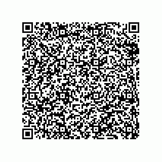 vCard 79833008819