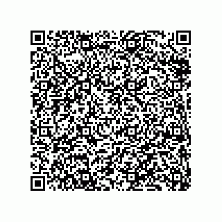 vCard 79833008999