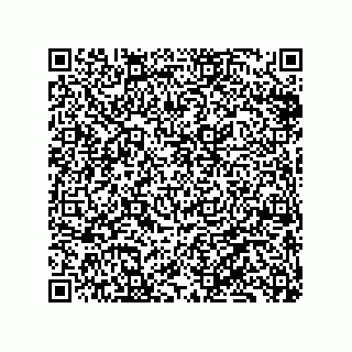 vCard 79833009011