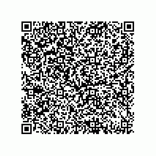 vCard 79833009013