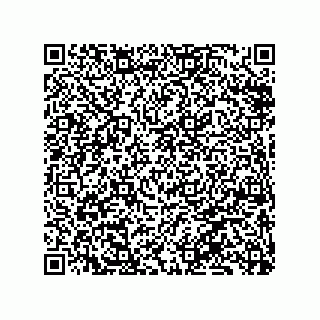 vCard 79833009070