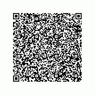 vCard 79833009241
