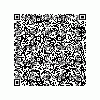 vCard 79833009251
