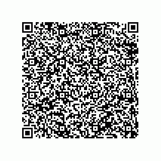 vCard 79833009300