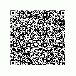 vCard 79833009333