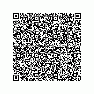 vCard 79833009344