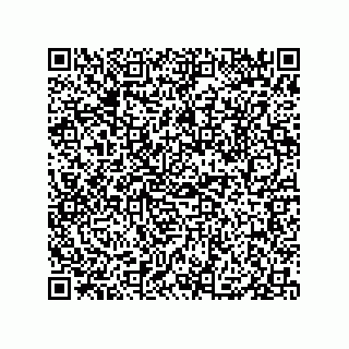 vCard 79833009385