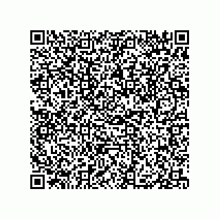 vCard 79833009501