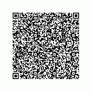 vCard 79833009520