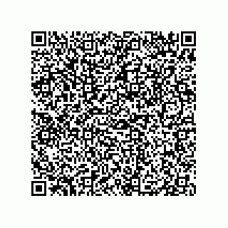 vCard 79833009587