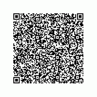 vCard 79833009613
