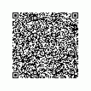 vCard 79833009633