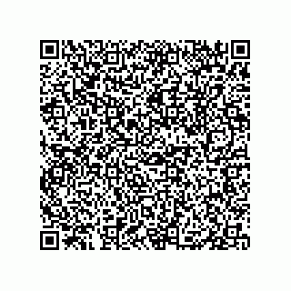 vCard 79833009665