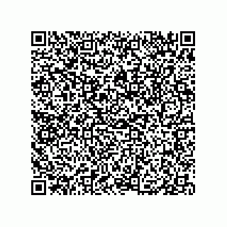 vCard 79833009903