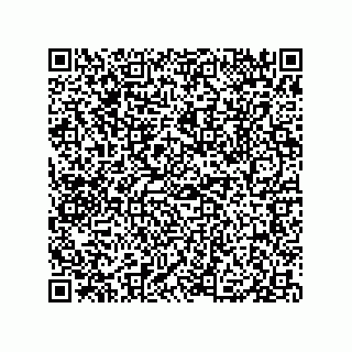vCard 79833009913