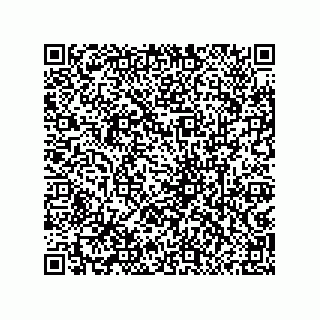 vCard 79833009919