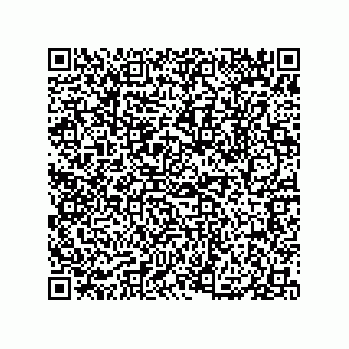 vCard 79833009925