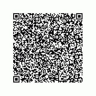vCard 79833010203