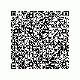 vCard 79833010272