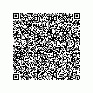 vCard 79833010281