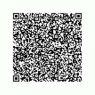 vCard 79833010287