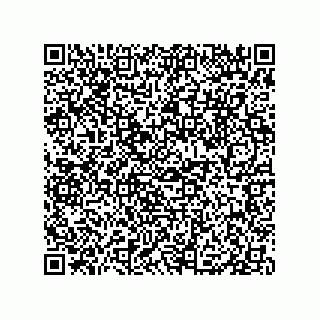 vCard 79833010297